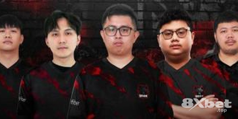 8xbet - nhatvipbet